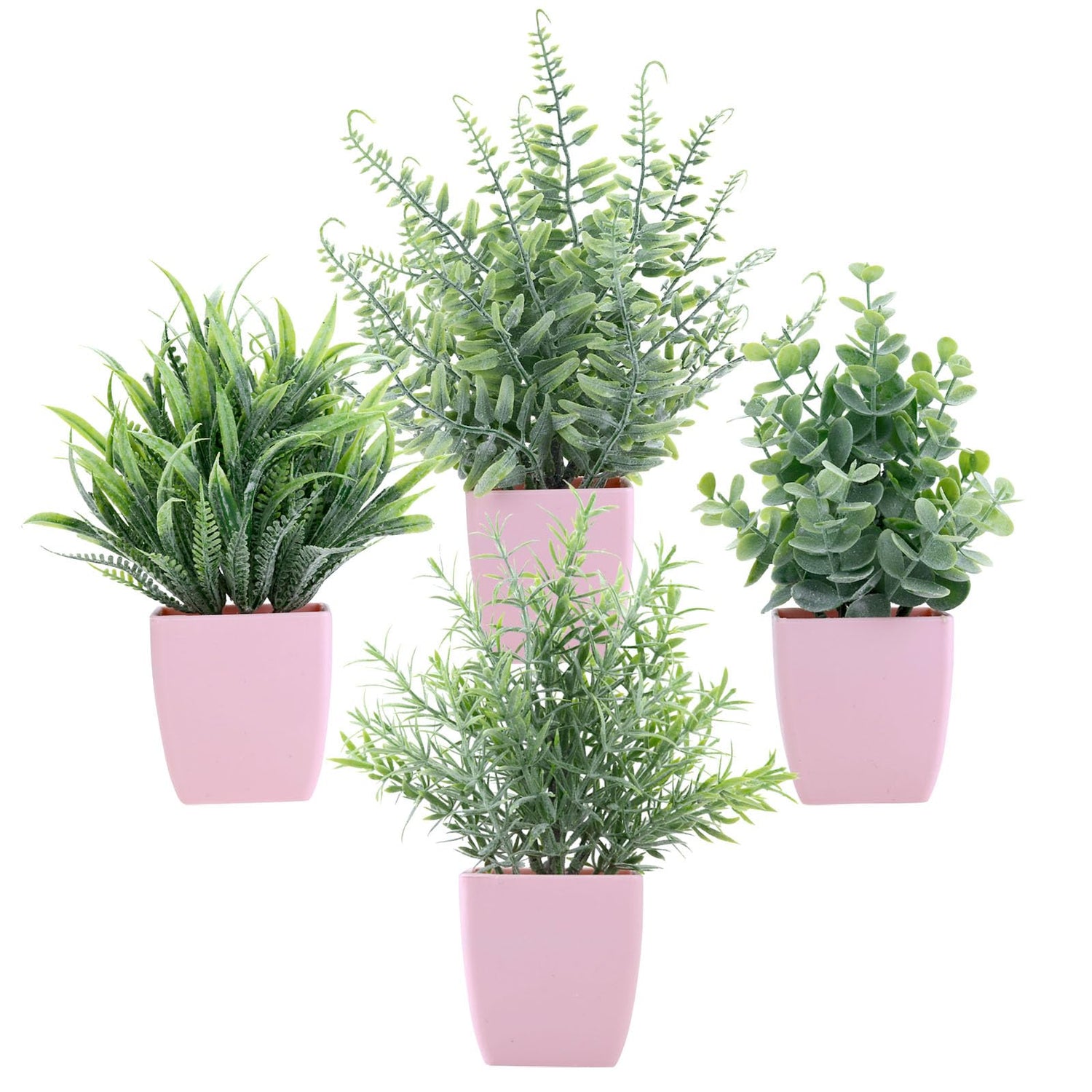 Plants & Greenery